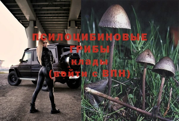 бошки Наволоки