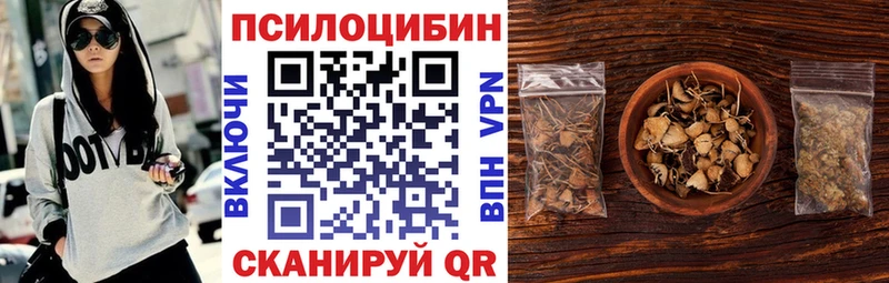 Псилоцибиновые грибы Psilocybe  продажа наркотиков  Оленегорск 